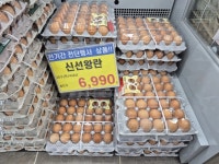 마트 장보고 저녁