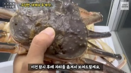 여전히 정신 못차리는 소래포구 최신 근황 ㅋ