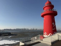 오이도 선착장과 편하게 먹는 새우튀김