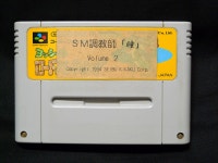 SM 조교사히토미 슈퍼패미콤 후방 해적판 게임