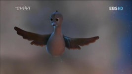엄마 까투리