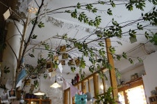 전북대 대학로에 있는 귀여운 카페 10그람 | 여행 행사 풍경 사진 갤러리 전북대 대학로에 있는 귀여운 카페 10그람 | 여행 행사 풍경 사진... 