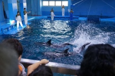 식도락기행 2부 울산고래박물관 이름모를술집 그리고 맥주한잔