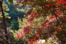 모악산 산행후 먹은 점심들