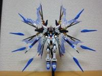 RG사제 맥기 코팅 금삐까 스트라이크 프리덤