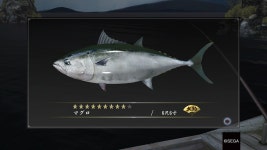 우리들도 대형 참치를 잡아 봅시다