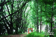 귀농한 서른일곱 총각의 자연밥상 시즌02 3화