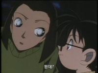 명탐정 코난제134화