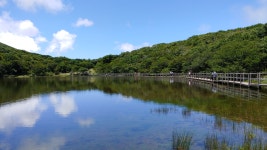 제주도 사라오름 | 국내여행 이야기 게시판 제주도 사라오름 | 국내여행 이야기 게시판 | 루리웹