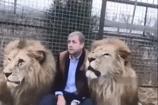 고양이 하악질 교정시키는 법gif