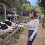 인방젖소 농장에 놀러간 스트리머gif