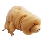 물곰 봉제인형 | 유머 게시판 물곰 봉제인형 | 유머 게시판 | 루리웹