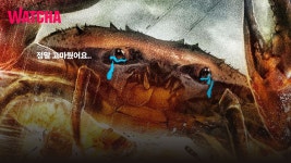 왓챠 랭킹 1위의 영화 | 엑스박스 잡담 게시판 | RULIWEB 왓챠 랭킹 1위의 영화 | 엑스박스 잡담 게시판 | 루리웹