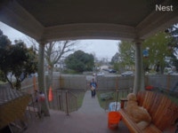 택배기사를 본 멍멍이gif