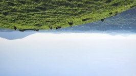 구좌읍 용눈이오름 | 유머 게시판 구좌읍 용눈이오름 | 유머 게시판 | 루리웹