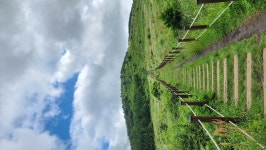 표선면 백약이오름 | 유머 게시판 표선면 백약이오름 | 유머 게시판 | 루리웹