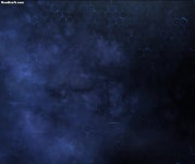 모습을 드러낸 이석배 교수