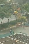 시소 탈 줄 모르는 애기들