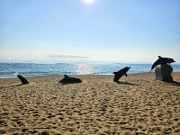 친구들과 1박 2일 둘째 날스압