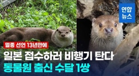 한국수달 일본에 보낸다