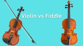 바이올린이지만 바이올린이 아닌 악기