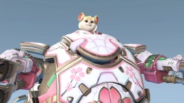 오버워치2 신규 벚꽃 스킨 번들 메르시 라이프위버 애쉬 등