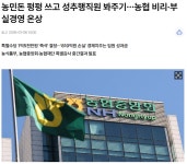 농협 회계 특별감사 네비게이션 시대에 종이지도 보는 느낌