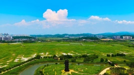 안산 탄도항 그리고 시흥에 있는 갯골생태공원에 가다