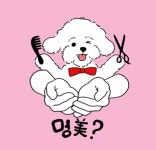 아직 중고로는 안풀리는 가바여 ㅠㅠ