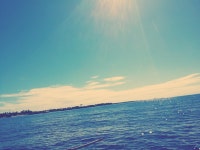 [각인]그래프가 안먹어져여 | 캐슬바니아 월하의 야상곡 [각인]그래프가 안먹어져여 | 캐슬바니아 월하의 야상곡 | 루리웹