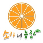 31살 제주로 돌아온지 1년 사무실 이사했습니다 귤나눔