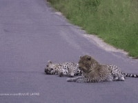 순애 철야하고 돌아온 남편과 위로하는 아내