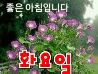방가방가,,^.^좋은,朝時,이여유,,,~~~😁😁 | 정치유머 게시판 방가방가,,^.^좋은,朝時,이여유,,,~~~😁😁 | 정치유머 게시판 | 루리웹