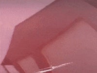 자동차 페인트 셀프도장 | 유머 게시판 자동차 페인트 셀프도장 | 유머 게시판 | 루리웹