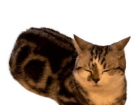 식빵 디자인의 근원 | 유머 게시판 식빵 디자인의 근원 | 유머 게시판 | 루리웹