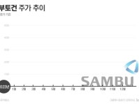 단독금감원 삼부토건 주가조작 100억대 시세차익 의혹 확인