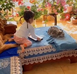 개와 고양이 | (백업)유머 게시판(2018-2020) 개와 고양이 | (백업)유머 게시판(2018-2020) | 루리웹