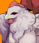 의외로 닭장인것