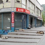 Stream Živé kvety | Listen to Spúšť playlist online for free on SoundCloud Spúšť