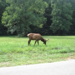 Stream Trenches by hiking | Listen online for free on SoundCloud Trenches