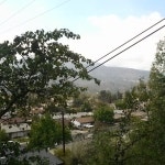 SPUNKY by NUBLADO SPUNKY