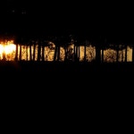 Stream Dubstep + Metal = Metalstep Best Metalstep Mix! (part 1 ?) Metalstep and hard Dubstep/Darkstep by Moooiee | Listen online... 