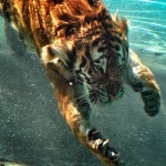 mellow by heripascal | Free Listening on SoundCloud mellow