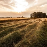 Stream Fields by Pl@ces | Listen online for free on SoundCloud Fields