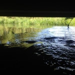 Stream S P A C E planet | Listen to Acoustic Originals/Covers playlist online for free on SoundCloud Acoustic Originals/Covers