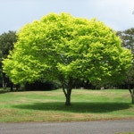 Stream One by Ryan Probert | Listen online for free on SoundCloud One