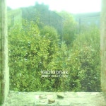 Stream Kabloonak | Listen to PIANO OUT OF TUNE playlist online for free on SoundCloud PIANO OUT OF TUNE