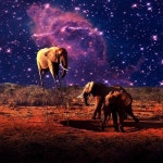Stream Ruins by Stellar Elephants | Listen online for free on SoundCloud Ruins