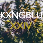 Stream Intro by KxngBlu | Listen online for free on SoundCloud Intro