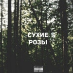 Velial Squad - 777DEGREEZ by @slawek_7 Сухие Розы